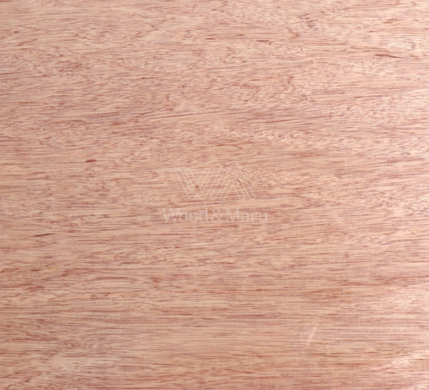 베트남 일반합판 14.5Tx4'x8' (MLH)