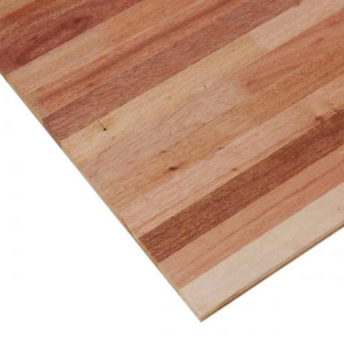 라왕 T/F 집성판 18Tx4x8